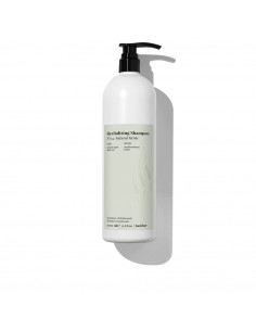 BACK BAR revitalizing shampoo nº04-natural herbs 1000 ml