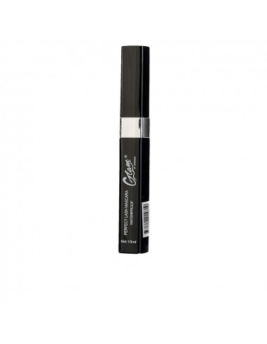 PERFECT LASH MASCARA 10 gr