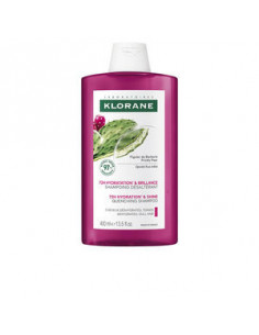 BARBARIA FIG Shampoo 400 ml