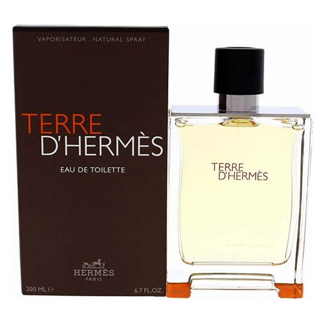 TERRE D'HERMÈS eau de toilette vaporizador 200 ml