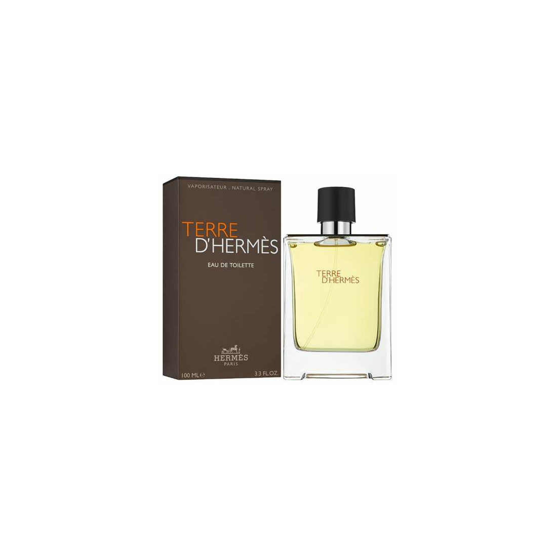 TERRE D'HERMÈS eau de toilette vaporizador 100 ml