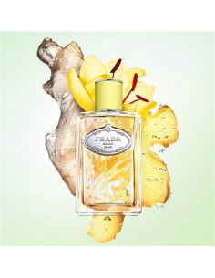 INFUSO GINGEMBRE edp vapo 100 ml