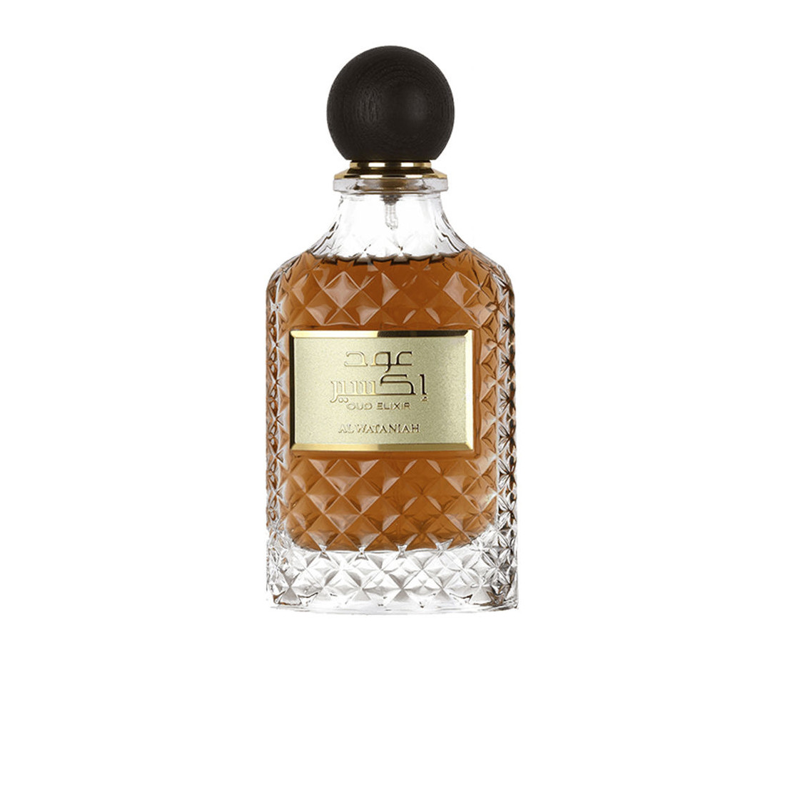 OUD ELIXIR edp vapo 100 ml