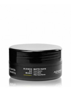 BLENDS OF MANY matte paste 75 ml