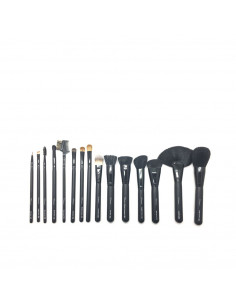 PROFESSIONAL BRUSHES AND BRUSHES CASE 15 pcs