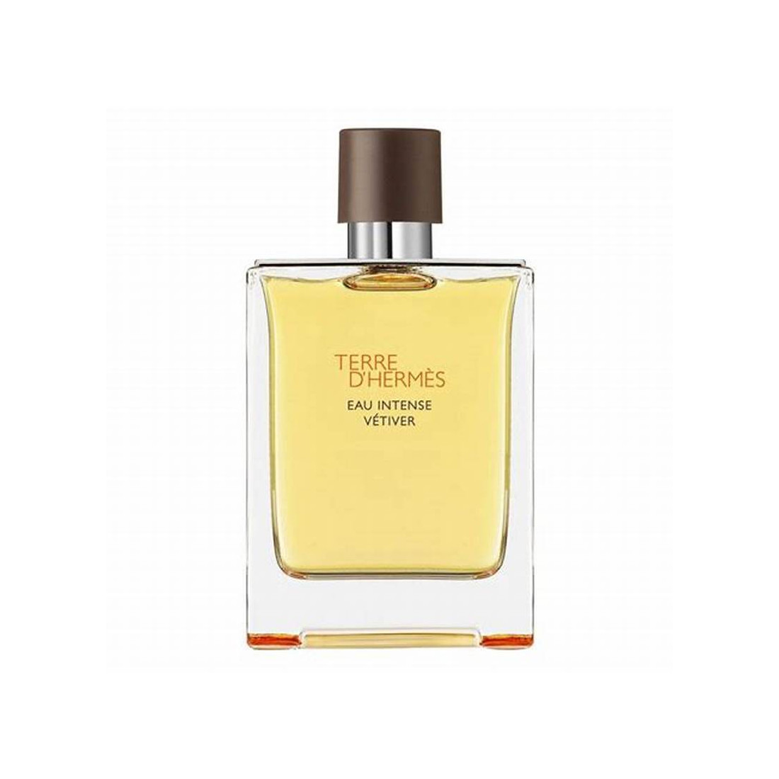 TERRE D'HERMÈS EAU INTENSE VÉTIVER eau de parfum vaporizador 200 ml