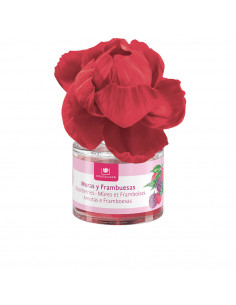 DUFTBLUME Lufterfrischer 0% Brombeeren und Himbeeren 40 ml