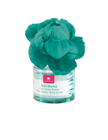 DUFTBLUME Lufterfrischer 0% Meeresbrise 40 ml