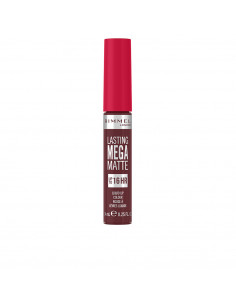 LASTING MEGA MATTE flüssige Lippenfarbe 810-pflaume diese...