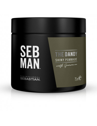 SEBMAN THE DANDY shiny pommade 75 ml