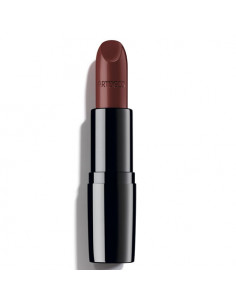 PERFECT COLOR lipstick 809-red wine