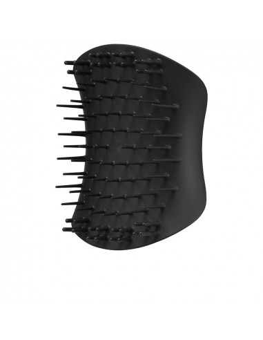 BROSSES POUR CUIR CHEVELU Noir 1 u