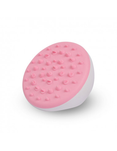 ANTI-CELLULITE massager 1 u