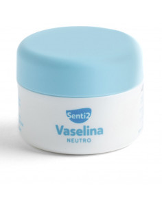 VASELINA labial neutro 20 ml